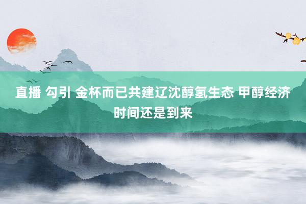 直播 勾引 金杯而已共建辽沈醇氢生态 甲醇经济时间还是到来