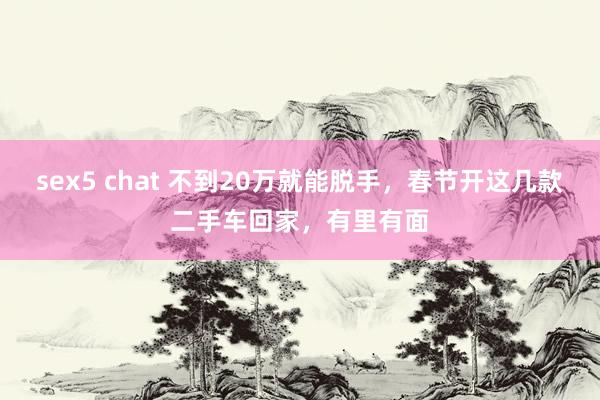 sex5 chat 不到20万就能脱手，春节开这几款二手车回家，有里有面