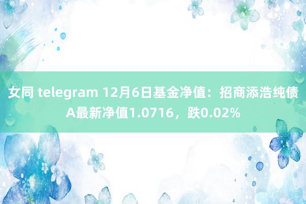 女同 telegram 12月6日基金净值：招商添浩纯债A最新净值1.0716，跌0.02%