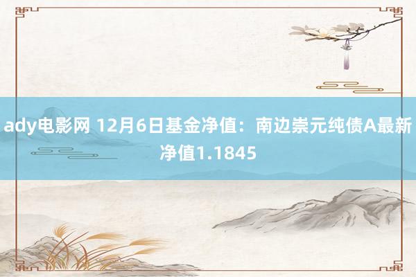 ady电影网 12月6日基金净值：南边崇元纯债A最新净值1.1845