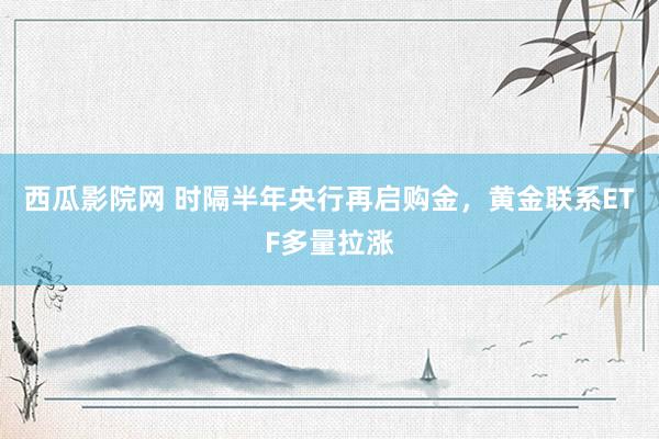 西瓜影院网 时隔半年央行再启购金，黄金联系ETF多量拉涨