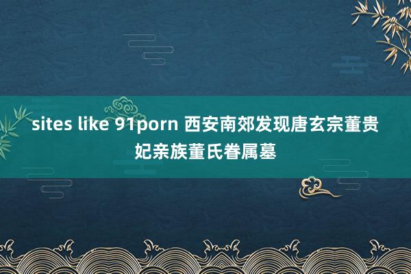 sites like 91porn 西安南郊发现唐玄宗董贵妃亲族董氏眷属墓