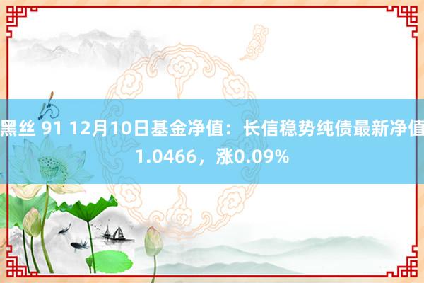 黑丝 91 12月10日基金净值：长信稳势纯债最新净值1.0466，涨0.09%