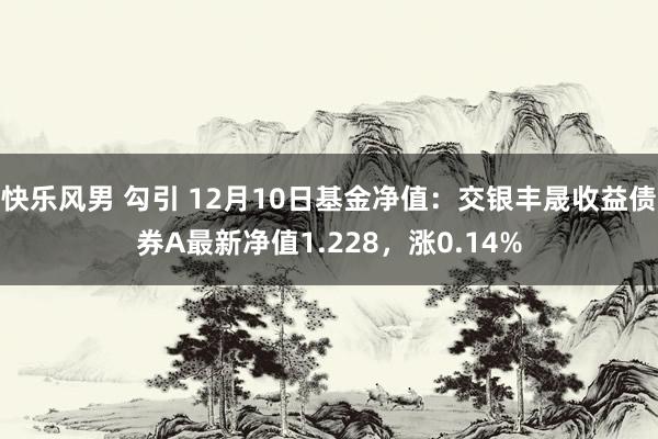 快乐风男 勾引 12月10日基金净值：交银丰晟收益债券A最新净值1.228，涨0.14%