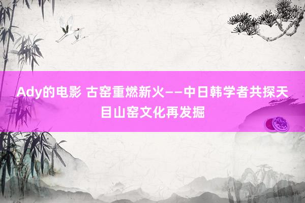 Ady的电影 古窑重燃新火——中日韩学者共探天目山窑文化再发掘