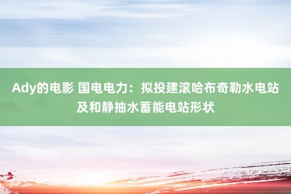 Ady的电影 国电电力：拟投建滚哈布奇勒水电站及和静抽水蓄能电站形状