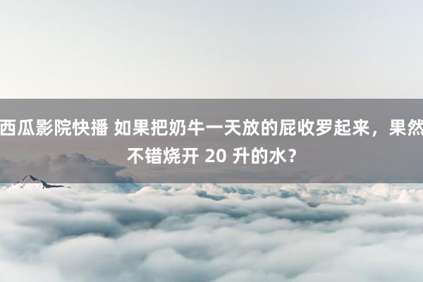 西瓜影院快播 如果把奶牛一天放的屁收罗起来，果然不错烧开 20 升的水？