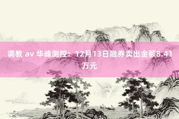 调教 av 华峰测控：12月13日融券卖出金额8.41万元