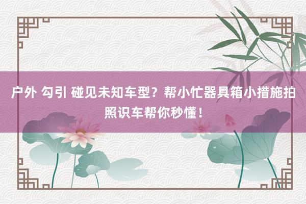 户外 勾引 碰见未知车型？帮小忙器具箱小措施拍照识车帮你秒懂！