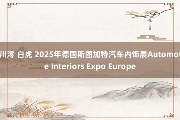 石川澪 白虎 2025年德国斯图加特汽车内饰展Automotive Interiors Expo Europe