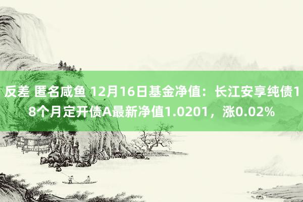 反差 匿名咸鱼 12月16日基金净值：长江安享纯债18个月定开债A最新净值1.0201，涨0.02%