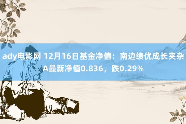 ady电影网 12月16日基金净值：南边绩优成长夹杂A最新净值0.836，跌0.29%