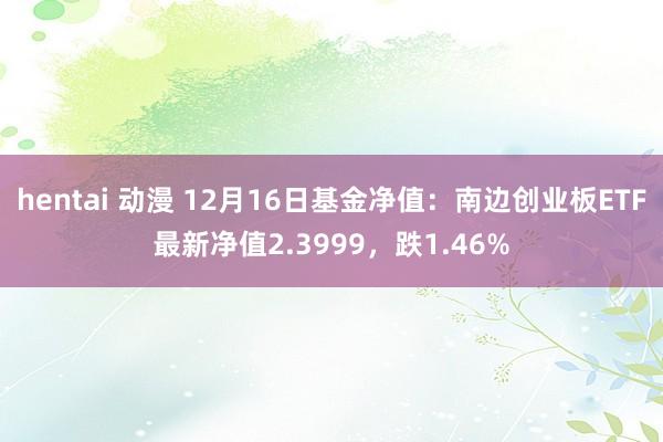 hentai 动漫 12月16日基金净值：南边创业板ETF最新净值2.3999，跌1.46%