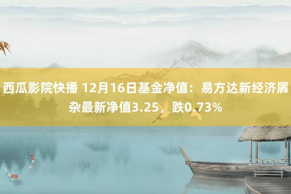 西瓜影院快播 12月16日基金净值：易方达新经济羼杂最新净值3.25，跌0.73%