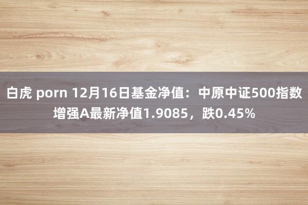 白虎 porn 12月16日基金净值：中原中证500指数增强A最新净值1.9085，跌0.45%