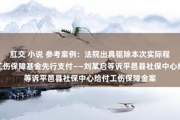 肛交 小说 参考案例：法院出具驱除本次实际程引言书后可苦求工伤保障基金先行支付——刘某启等诉平邑县社保中心给付工伤保障金案