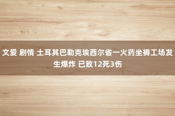 文爱 剧情 土耳其巴勒克埃西尔省一火药坐褥工场发生爆炸 已致12死3伤