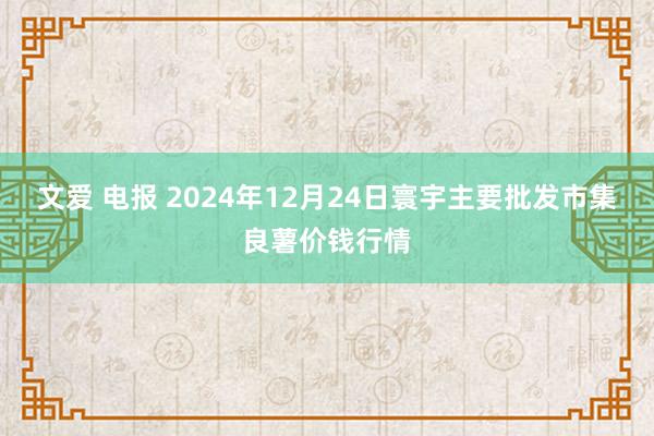 文爱 电报 2024年12月24日寰宇主要批发市集良薯价钱行情