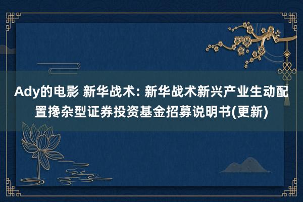 Ady的电影 新华战术: 新华战术新兴产业生动配置搀杂型证券投资基金招募说明书(更新)