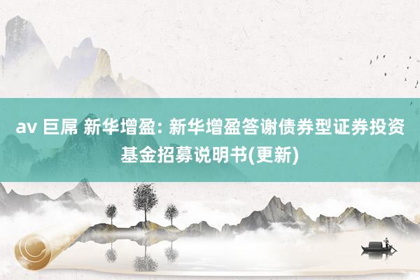 av 巨屌 新华增盈: 新华增盈答谢债券型证券投资基金招募说明书(更新)