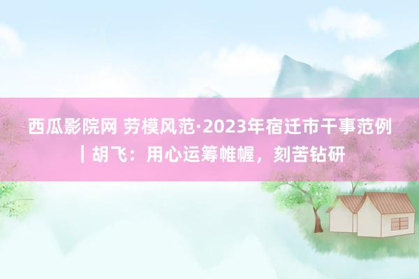 西瓜影院网 劳模风范·2023年宿迁市干事范例｜胡飞：用心运筹帷幄，刻苦钻研