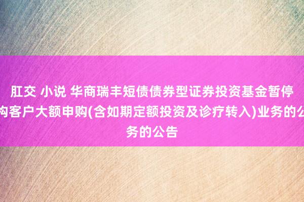 肛交 小说 华商瑞丰短债债券型证券投资基金暂停机构客户大额申购(含如期定额投资及诊疗转入)业务的公告