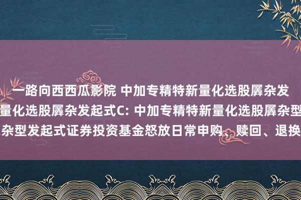 一路向西西瓜影院 中加专精特新量化选股羼杂发起式A，中加专精特新量化选股羼杂发起式C: 中加专精特新量化选股羼杂型发起式证券投资基金怒放日常申购、赎回、退换、按期定额投资业务公告