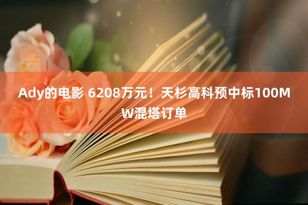 Ady的电影 6208万元！天杉高科预中标100MW混塔订单