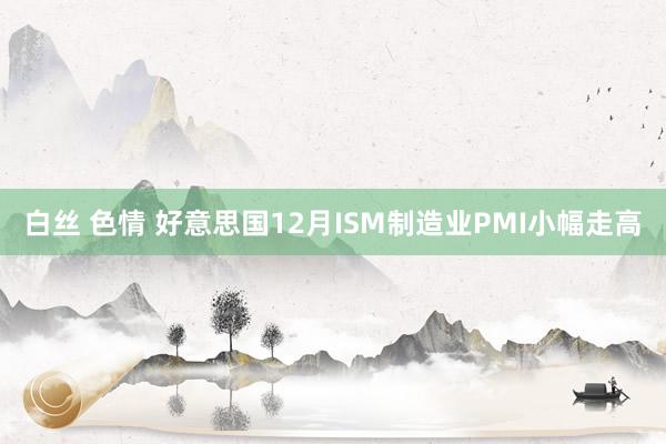 白丝 色情 好意思国12月ISM制造业PMI小幅走高