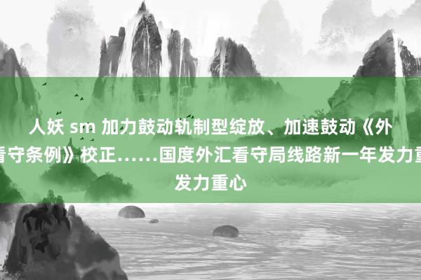 人妖 sm 加力鼓动轨制型绽放、加速鼓动《外汇看守条例》校正……国度外汇看守局线路新一年发力重心