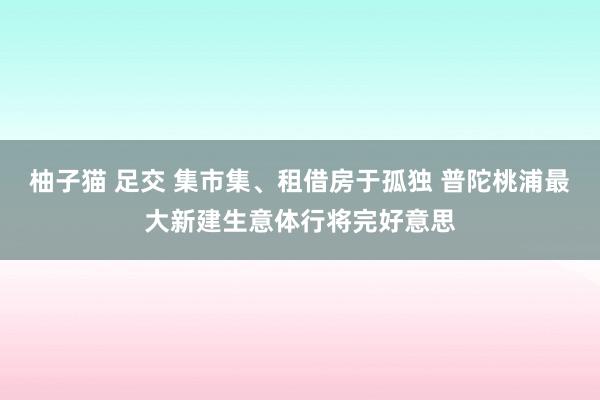 柚子猫 足交 集市集、租借房于孤独 普陀桃浦最大新建生意体行将完好意思