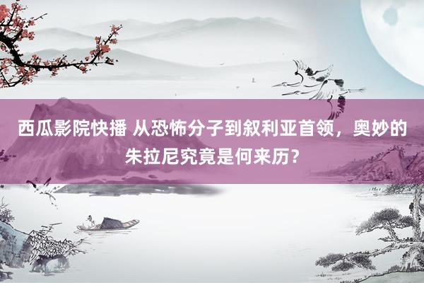 西瓜影院快播 从恐怖分子到叙利亚首领，奥妙的朱拉尼究竟是何来历？