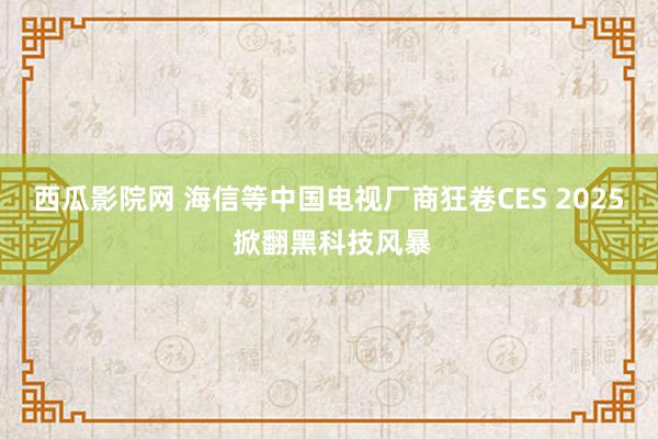 西瓜影院网 海信等中国电视厂商狂卷CES 2025 掀翻黑科技风暴