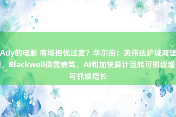 Ady的电影 商场担忧过度？华尔街：英伟达护城河坚固，Blackwell供需病笃，AI和加快算计运转可抓续增长