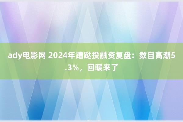 ady电影网 2024年蹧跶投融资复盘：数目高潮5.3%，回暖来了