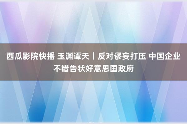 西瓜影院快播 玉渊谭天丨反对谬妄打压 中国企业不错告状好意思国政府