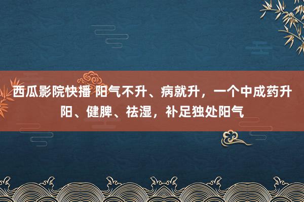 西瓜影院快播 阳气不升、病就升，一个中成药升阳、健脾、祛湿，补足独处阳气